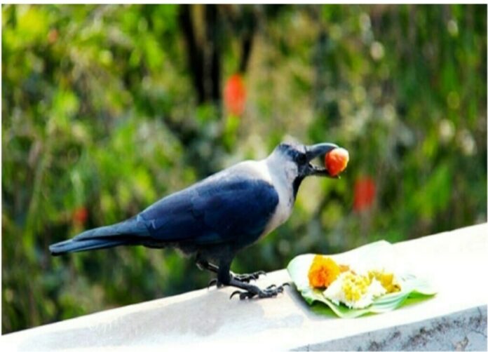 inbound2542880697802287776